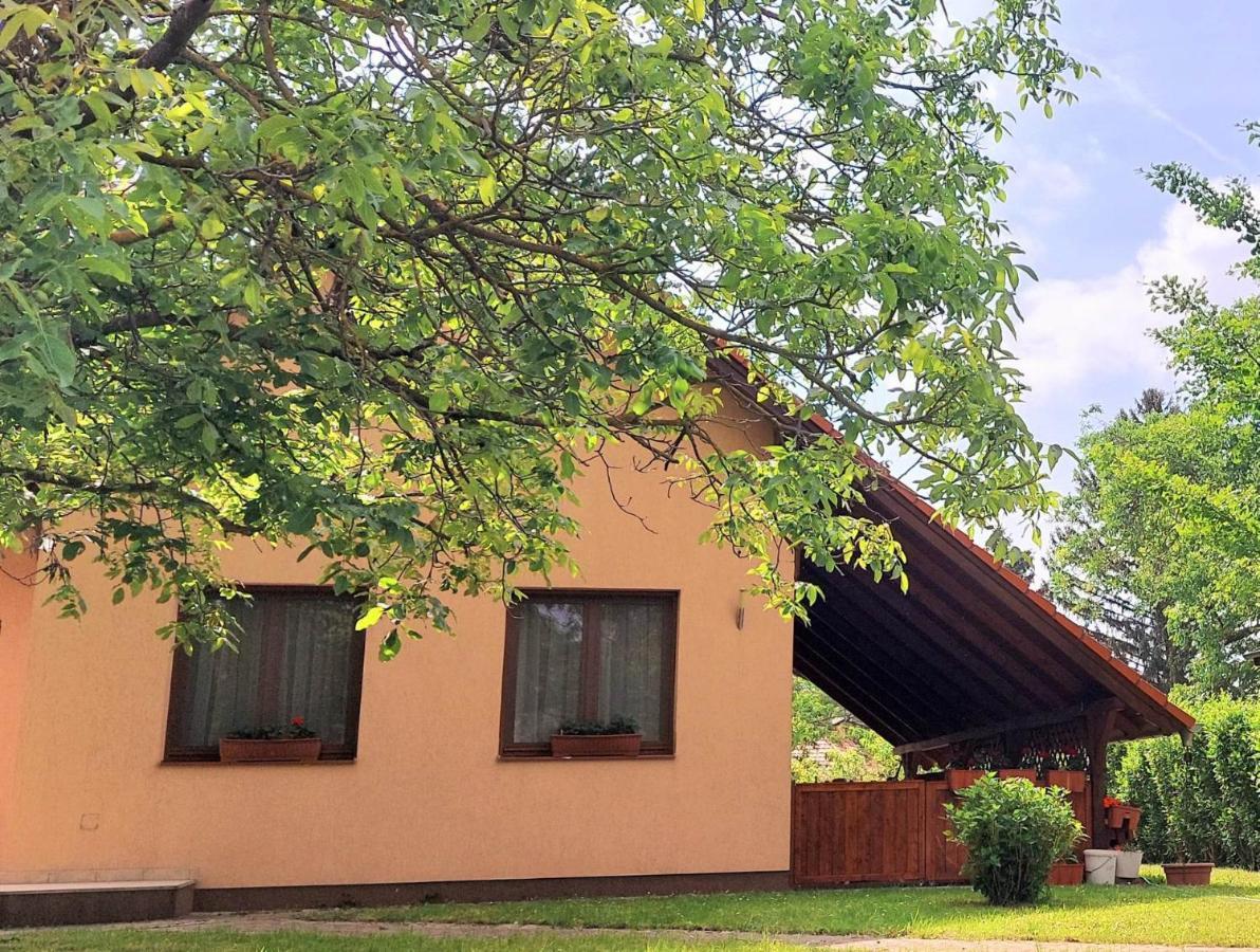 Vila Szemermetes Erzsok Nyaralohaz Gyomaendrőd Exteriér fotografie