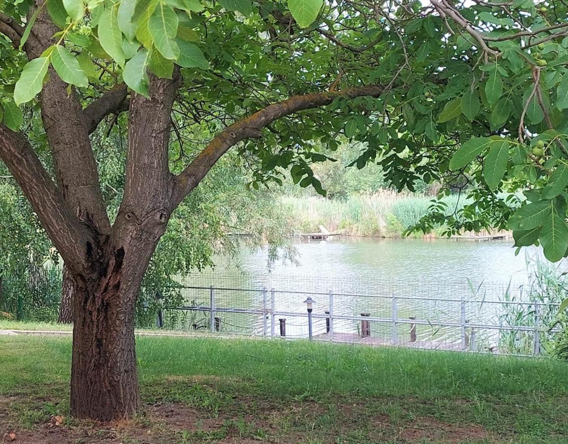 Vila Szemermetes Erzsok Nyaralohaz Gyomaendrőd Exteriér fotografie